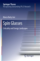 Marco Baity Jesi - Spin Glasses