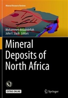 Mohamme Bouabdellah, Mohammed Bouabdellah, F Slack, F Slack, John F. Slack - Mineral Deposits of North Africa