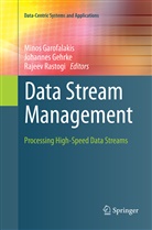 Minos Garofalakis, Johanne Gehrke, Johannes Gehrke, Rajeev Rastogi - Data Stream Management