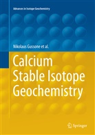 Martin Dietzel, Nikolau Gussone, Nikolaus Gussone, Al Heuser, Alexander Heuser, Martin Schiller... - Calcium Stable Isotope Geochemistry