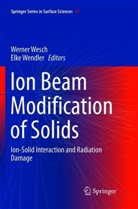 Wendler, Wendler, Elke Wendler, Werne Wesch, Werner Wesch - Ion Beam Modification of Solids