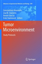 Lisa M. Coussens, Amato Giaccia, Amato Giaccia et al, Ester Hammond, Constantinos Koumenis, Lis M Coussens... - Tumor Microenvironment