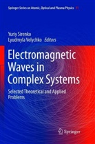 Yuri Sirenko, Yuriy Sirenko, Velychko, Velychko, Lyudmyla Velychko - Electromagnetic Waves in Complex Systems
