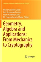 Marco Castrillón López, Lui Hernández Encinas, Luis Hernández Encinas, Pedro Martínez Gadea, Pedr Martínez Gadea et al, Mª Eugenia Rosado María - Geometry, Algebra and Applications: From Mechanics to Cryptography