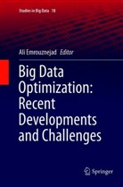 Al Emrouznejad, Ali Emrouznejad - Big Data Optimization: Recent Developments and Challenges
