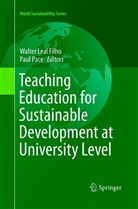 Walte Leal Filho, Walter Leal Filho, Pace, Pace, Paul Pace - Teaching Education for Sustainable Development at University Level