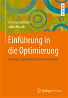 Jakob Bossek, Christia Grimme, Christian Grimme - Einführung in die Optimierung
