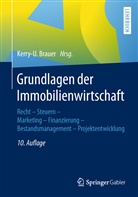 Kerry-U. Brauer, Kerry- Brauer (Prof. Dr. habil.), Kerry-U Brauer (Prof. Dr. habil.) - Grundlagen der Immobilienwirtschaft