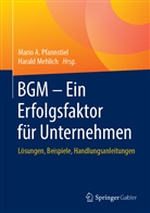 Mari A Pfannstiel, Mario A Pfannstiel, Mehlich, Mehlich, Harald Mehlich, Mario A. Pfannstiel - BGM - Ein Erfolgsfaktor für Unternehmen