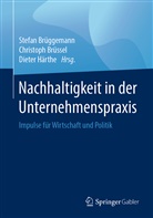 Stefan Brüggemann, Christop Brüssel, Christoph Brüssel, Dieter Härthe - Nachhaltigkeit in der Unternehmenspraxis