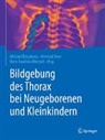 Meinra Beer, Meinrad Beer, Hans-Joachim Mentzel, Michael Riccabona - Bildgebung des Thorax bei Neugeborenen und Kleinkindern