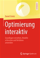 Daniel Scholz - Optimierung interaktiv