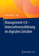 Michae Erner, Michael Erner - Management 4.0 - Unternehmensführung im digitalen Zeitalter