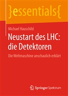 Michael Hauschild - Neustart des LHC: die Detektoren