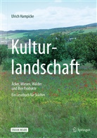 Ulrich Hampicke - Kulturlandschaft - Äcker, Wiesen, Wälder und ihre Produkte