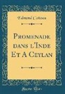 Edmond Cotteau - Promenade dans l'Inde Et A Ceylan (Classic Reprint)
