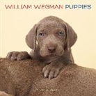 William Wegman - William Wegman Puppies 2020 Calendar