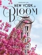 Georgianna Lane, Lane Georgianna - New York in Bloom