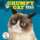 Grumpy Cat, Grumpy Cat - Grumpy Cat 2020 Wall Calendar
