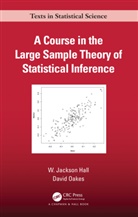 W. Jackson Hall, W. Jackson Oakes Hall, David Oakes, David (University of Rotchester Oakes - Course in the Large Sample Theory of Statistical Inference