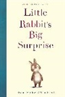 Alison Friend, Swapna Haddow, Alison Friend - Little Rabbit's Big Surprise