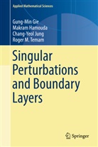 Gung-Mi Gie, Gung-Min Gie, Makra Hamouda, Makram Hamouda, Chang-Yeol Jung, Chang-Yeol et Jung... - Singular Perturbations and Boundary Layers