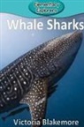 Victoria Blakemore - Whale Sharks