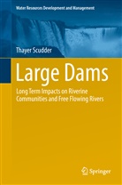 Thayer Scudder - Large Dams