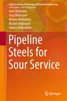 Alexey Kholodnyi, Alexey et Kholodnyi, Maxim Matrosov, Yur Matrosov, Yury Matrosov, Iva Shabalov... - Pipeline Steels for Sour Service