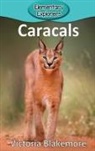 Victoria Blakemore - Caracals