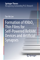 Tae-Ho Lee - Formation of KNbO3 Thin Films for Self-Powered ReRAM Devices and Artificial Synapses