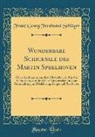Franz Georg Ferdinand Schläger - Wunderbare Schicksale des Martin Speelhoven