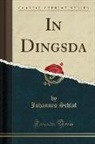 Johannes Schlaf - In Dingsda (Classic Reprint)