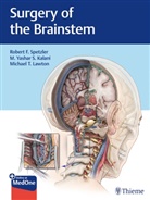 M. Yashar Kalani, M. Yashar S. Kalani, Michae Lawton, Michael Lawton, Michael T. Lawton, Robert F. Spetzler... - Surgery of the Brainstem