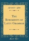 Alexander Adam - The Rudiments of Latin Grammar (Classic Reprint)
