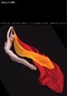 B. Martin Pedersen - Graphis Journal Magazine 360