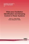 Chao Lu, Jingyi Zhang, Xinran Zhang, Yi Zhao - Wide-Area Oscillation Identification and Damping Control in Power Systems