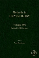 Vahe (EDT) Bandarian, Vahe Bandarian - Radical Sam Enzymes
