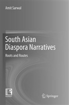 Amit Sarwal - South Asian Diaspora Narratives