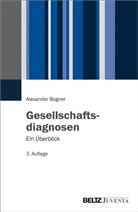 Alexander Bogner - Gesellschaftsdiagnosen