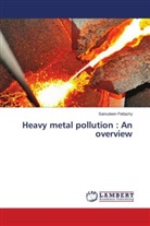 Sainudeen Pattazhy - Heavy metal pollution : An overview