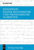 Xenophon, Xenophon, Wolfgan Will, Wolfgang Will - Kleine historische und ökonomische Schriften
