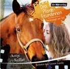 Antje Szillat, Leonie Landa - Drei Pferdefreundinnen - Diebesjagd am Set, 2 Audio-CDs (Audio book)