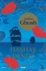 Amitav Ghosh - Hashas Denizi