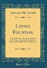 Solomon W. Straub - Living Fountain