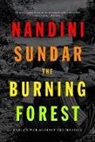 Nandini Sundar, Nandini Sundar - Burning Forest