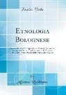 Alfonso Rubbiana - Etnologia Bolognese