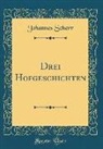 Johannes Scherr - Drei Hofgeschichten (Classic Reprint)