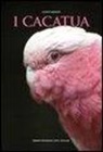 Gianni Ravazzi - I cacatua