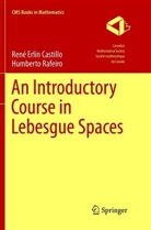 Rene Erli Castillo, Rene Erlin Castillo, Humberto Rafeiro - An Introductory Course in Lebesgue Spaces